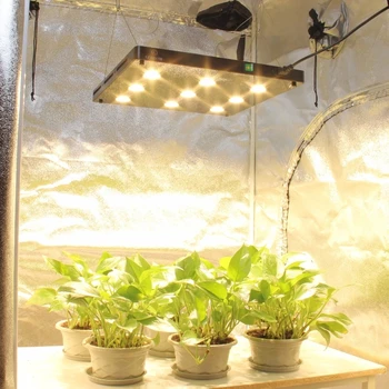 COB LED Növény Nő a Fény Teljes Spektrumát BlackSun 360W 540 810W LED Panel Lámpa Beltéri Hidrokultúrás Növények Növekedési Szakaszban
