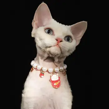 Kisállat Macska Gyöngy Gallér Dísz Állítható Homár Csattal Design Nyaklánc Pet Nyak Tartozékok Pet Supplies
